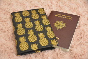 nos curieux voyageurs bali passeport 3